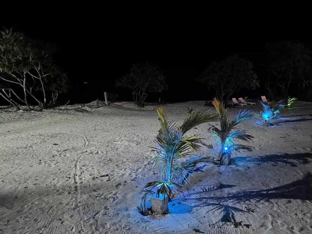Jambo Beach Hotel Paje Eksteriør bilde